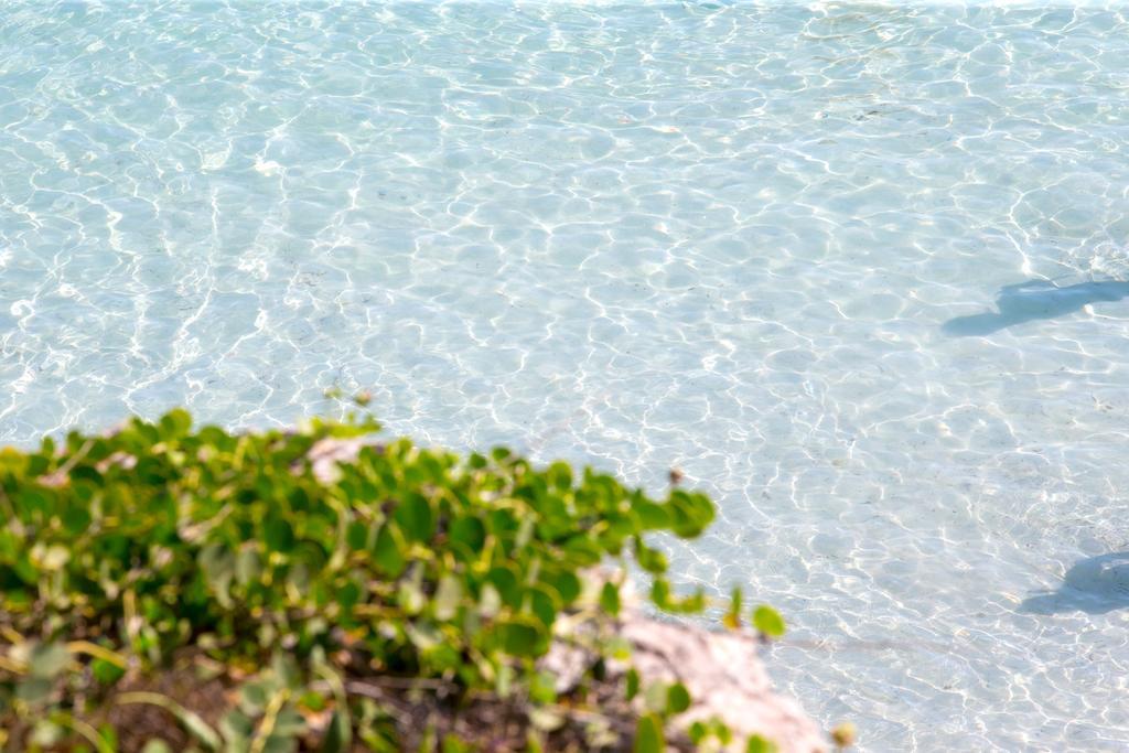 Il Borgo Del Principino Aparthotel Favignana Kültér fotó